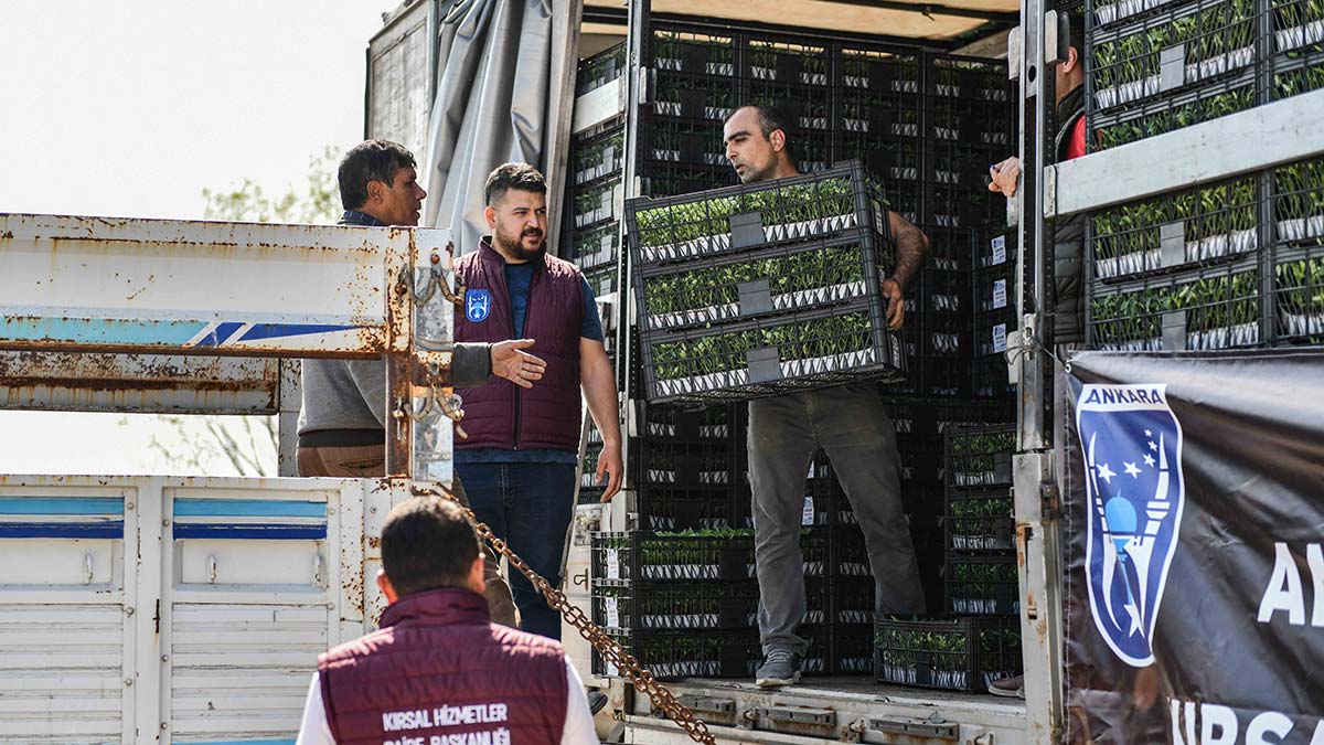 ABB'den sebze fidesi desteği