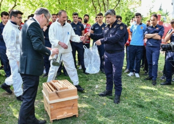 Başkentte "Arı Timi" kuruldu
