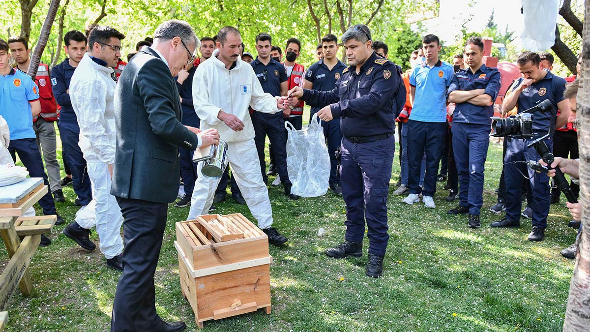 Başkentte "Arı Timi" kuruldu