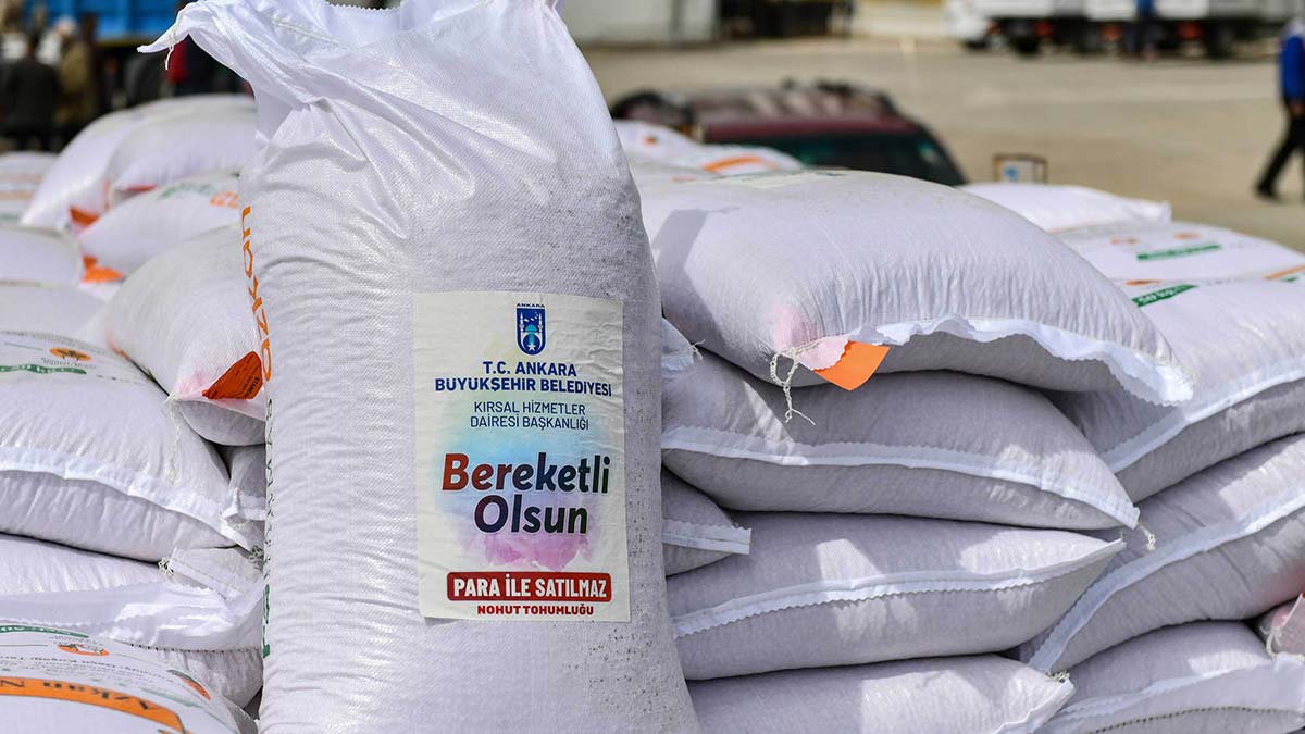 Nohut tohumu dağıtımı tamamlandı