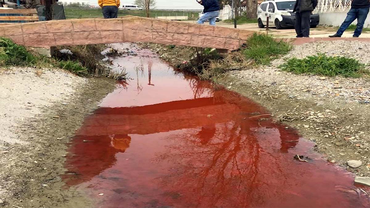Kamara Deresi'ni kirleten tesise 500 bin TL ceza