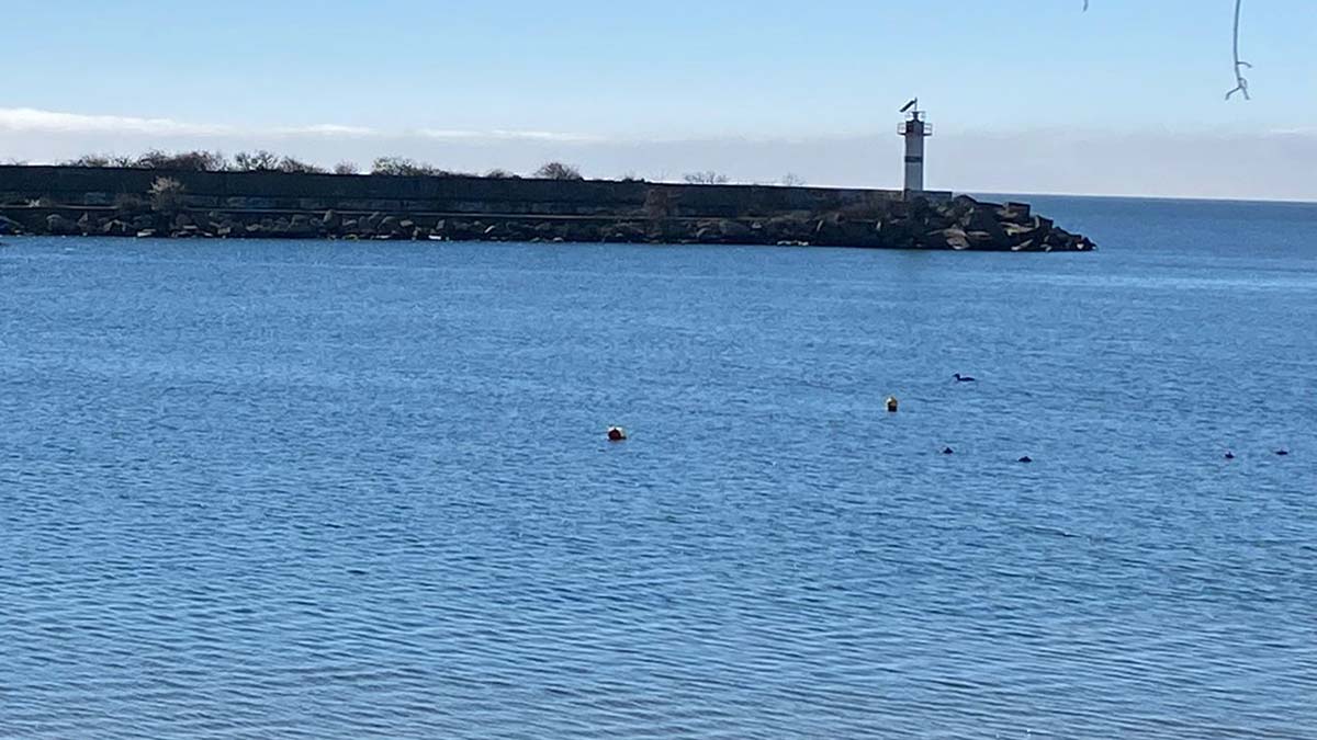 Kefken açıklarında mayın tespit edildi