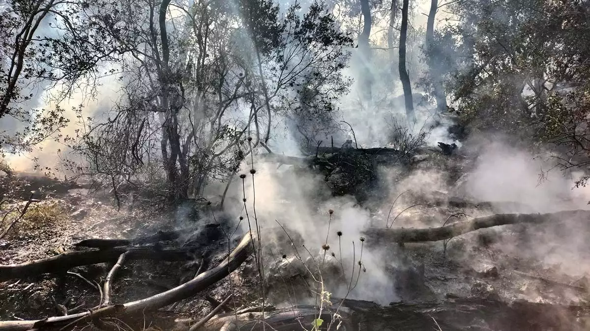 Kemer'de 3 dönüm orman yandı
