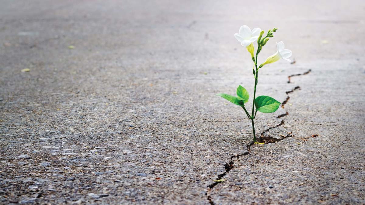 Kim ne derse desin umut hep vardır