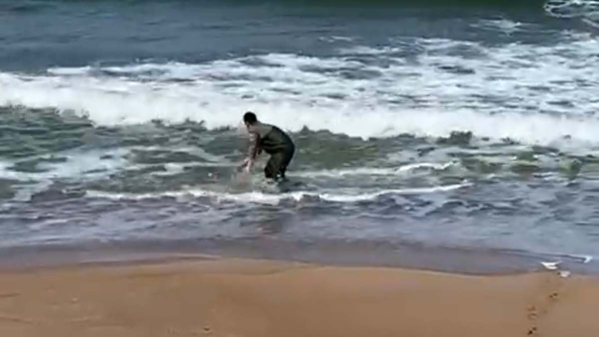 Kıyıya vuran yunusu kurtardı