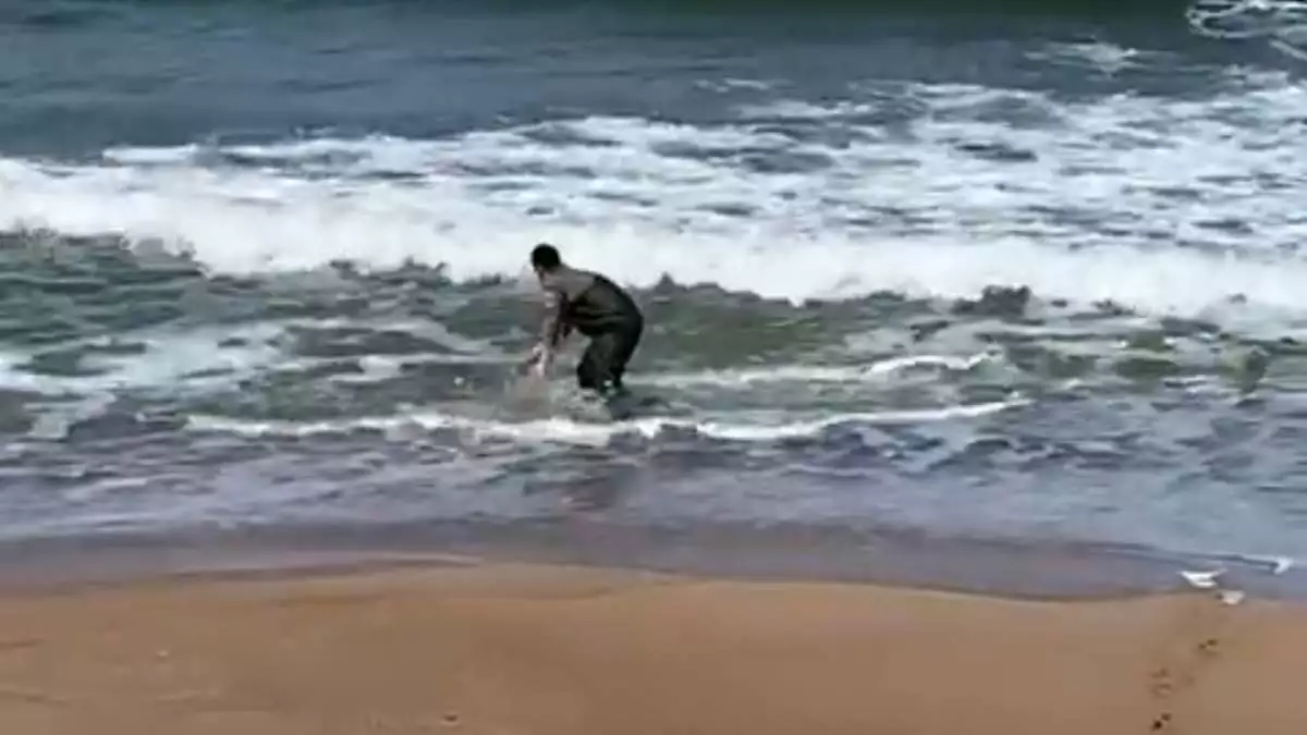 Kıyıya vuran yunusu kurtardı