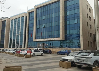 Kız çocuklarına cinsel istismara 12 tutuklama