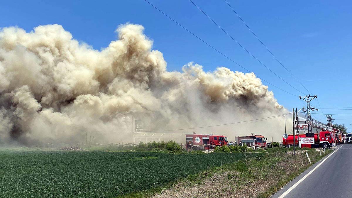 Lüleburgaz'da mobilya mağazasında yangın