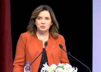 MHP'li Erdem: Kırım en hassas noktamız