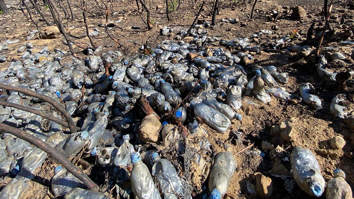 Manavgat'ta çöp yığınları tepki topladı