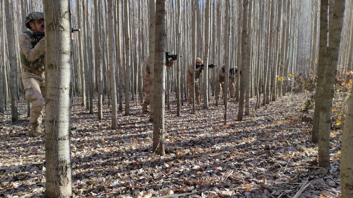 Mardin'de 'Eren Kış-33 Operasyonu' başlatıldı