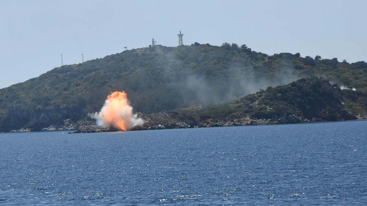'Mavi Vatan Tatbikatı'nda Seçkin Gözlemci Günü