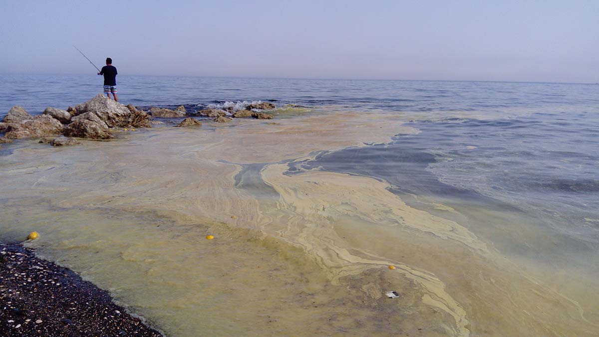 Mersin denizinde sarı polen tabakası