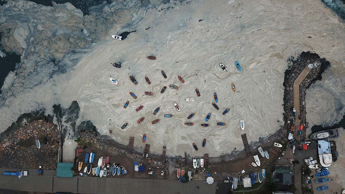 Müsilaj yakıt ve gübre olarak kullanılamaz