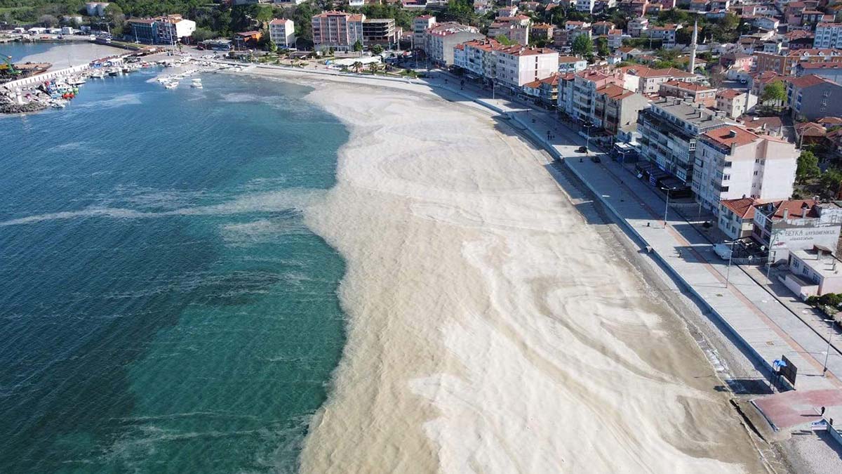 Müsilajın nedeni suda besin maddesinin artması