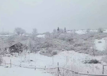 Ordu ve Bayburt'ta kar yağışı