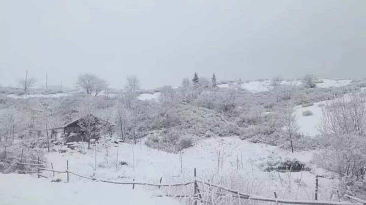 Ordu ve Bayburt'ta kar yağışı
