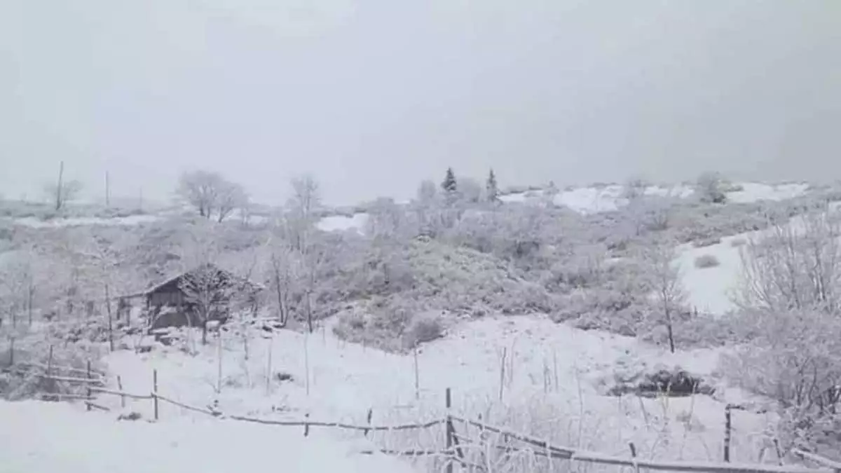 Ordu ve bayburt'ta kar yağışı