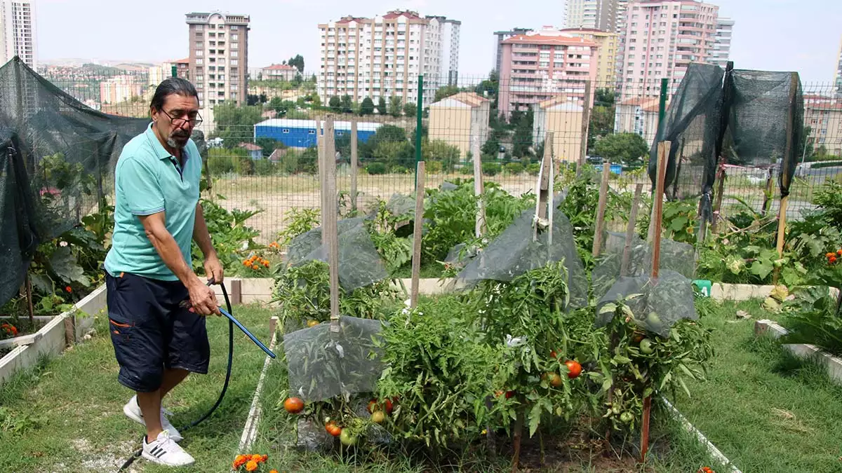 Çankaya belediyesi kent tarım hobi evlerinde 2022 yılı eğitim dönemi için mutlukent kent tarım hobi evin'de 6 nisan'da, öveçler ata kent tarım hobi evi'nde ise 7 nisan'da ilk ders başlayacak.