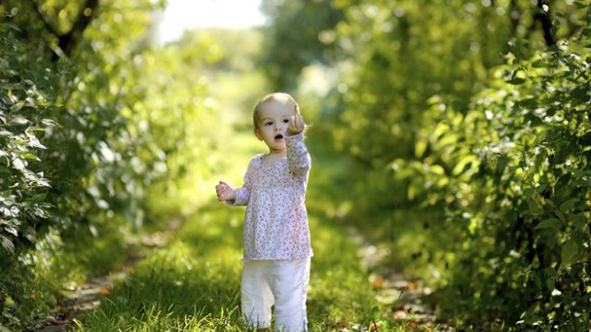 Pegasus'tan 23 Nisan’da ‘Çocuk Ormanı’ projesi