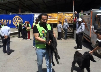 Rotary kulüplerinden Manavgatlılara keçi desteği