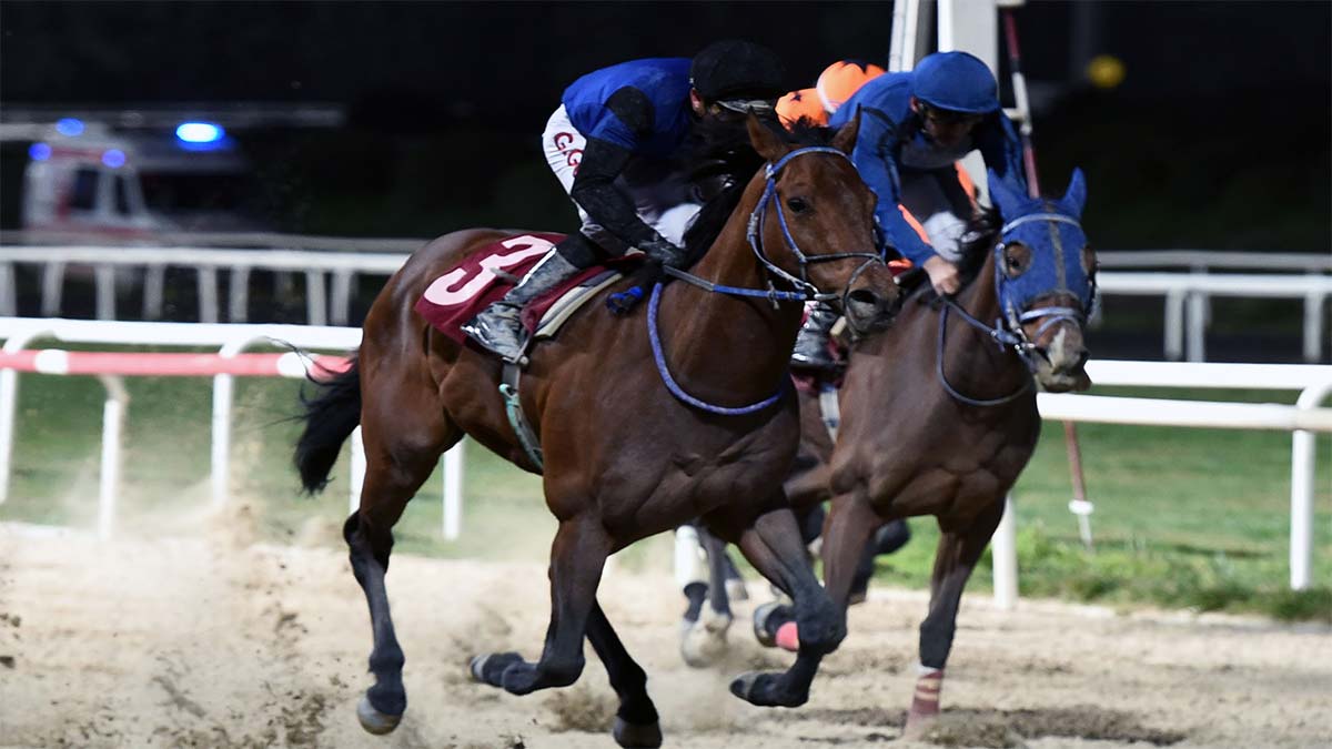 TSYD İzmir Koşusu'nu Fortissimum kazandı