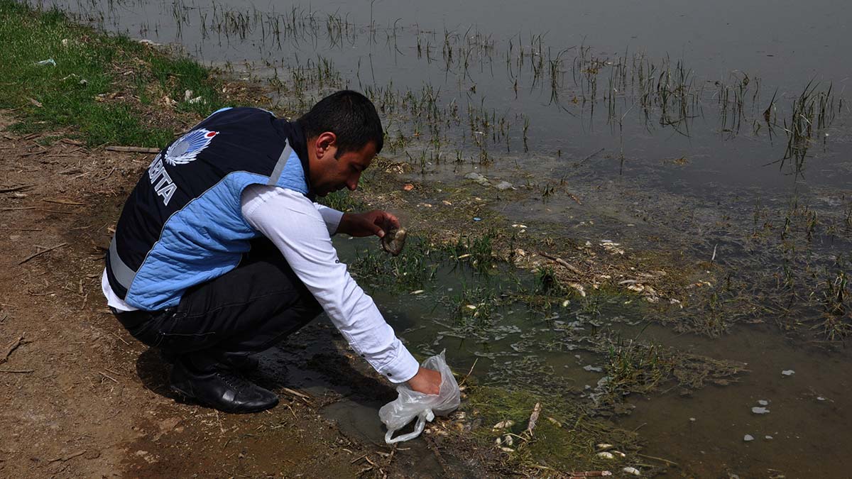 Tahtaköprü Barajı'nda balık ölümlerine inceleme