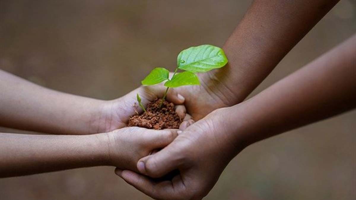 Türkiye'nin ağaçlandırma başarısına ödül