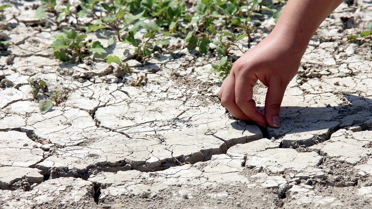 Uzun ve kurak bir yaz bizi bekliyor olabilir