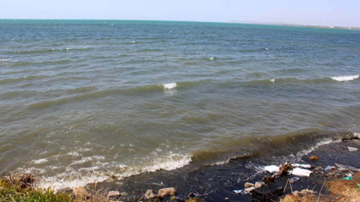 Van Gölü'nde kirli su iddialara açıklama