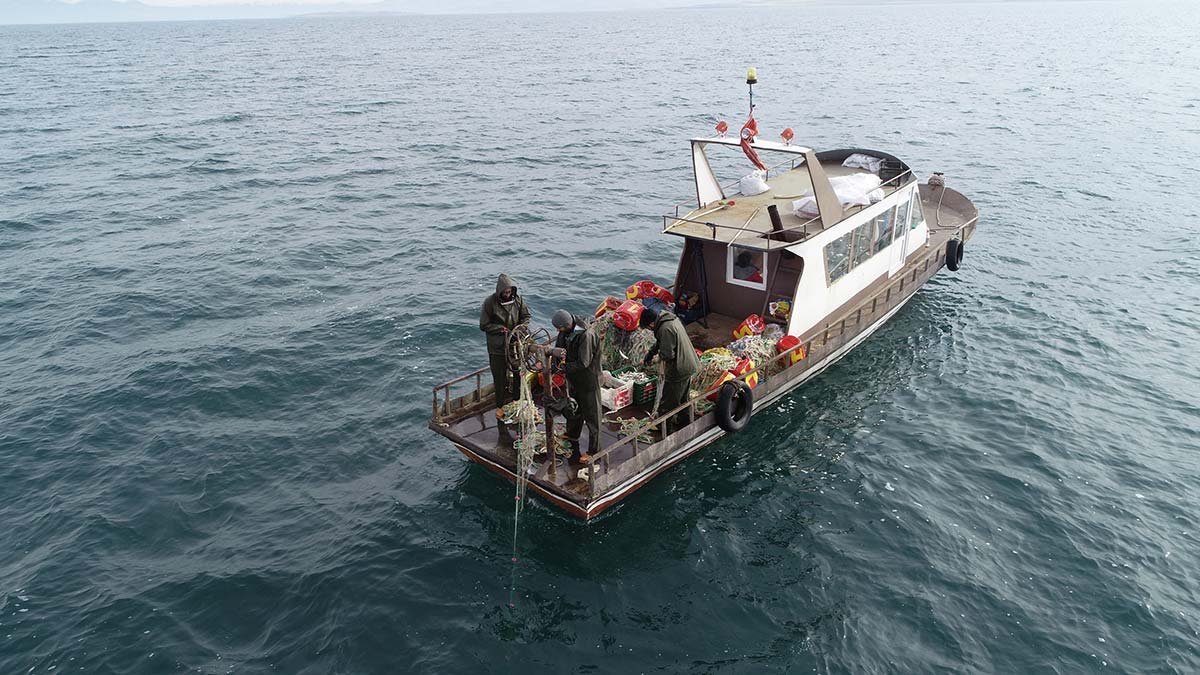 Van'da balıkçılar son ağlarını çekti