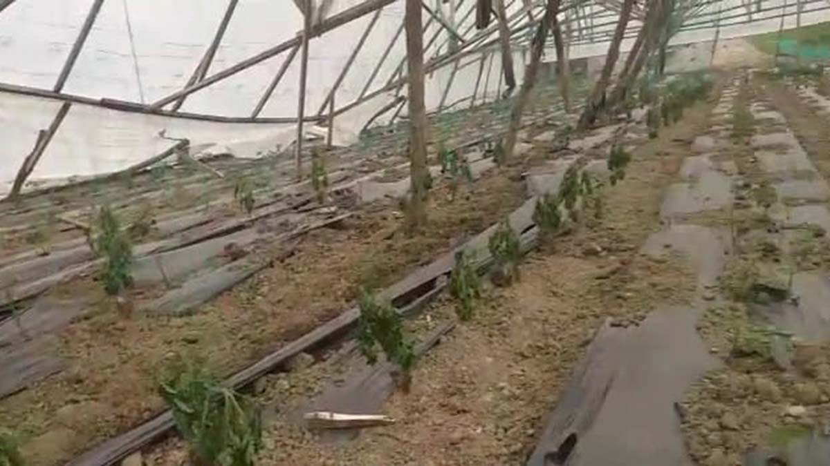 Amasya'da fırtına seraları vurdu