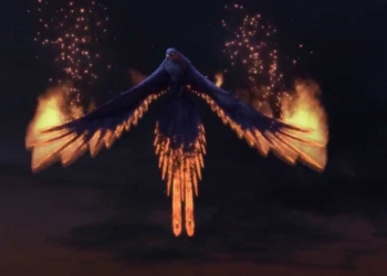 Küllerinden yeniden doğmak