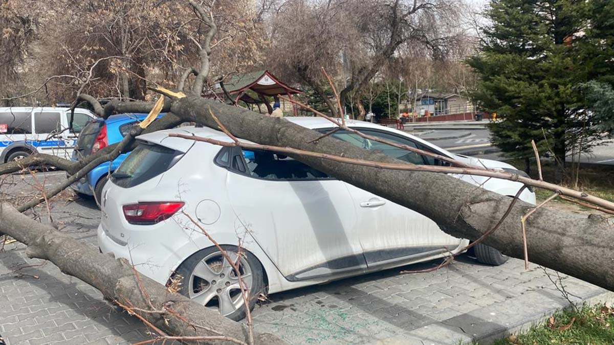 Ankara'da, rüzgar abelalar uçtu elektrik direkleri zarar gördü.