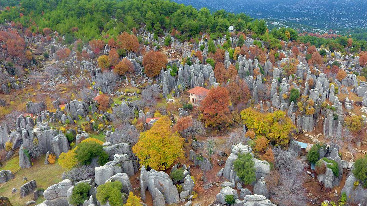 Avatar Diyarı'na sprey boya