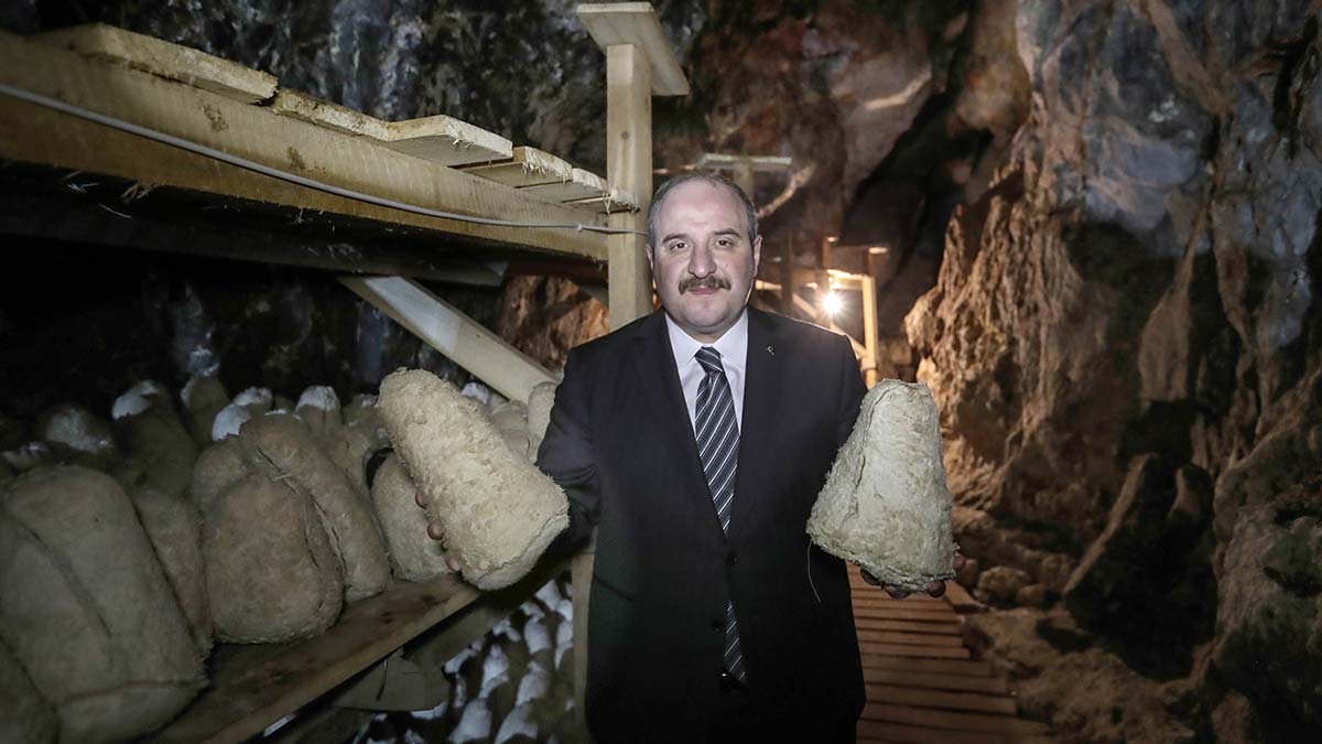 Bakan Varank'tan Divle obruk peyniri incelemesi