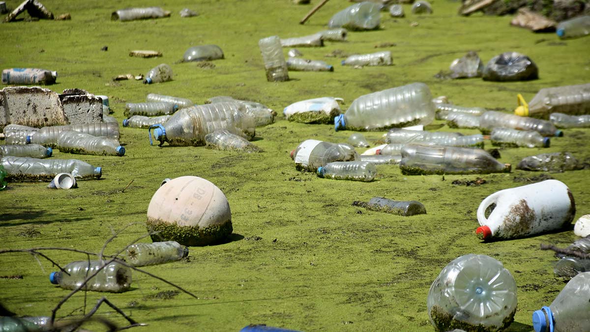 Bayır Deresi atıklarla kirlenip çöplüğe döndü