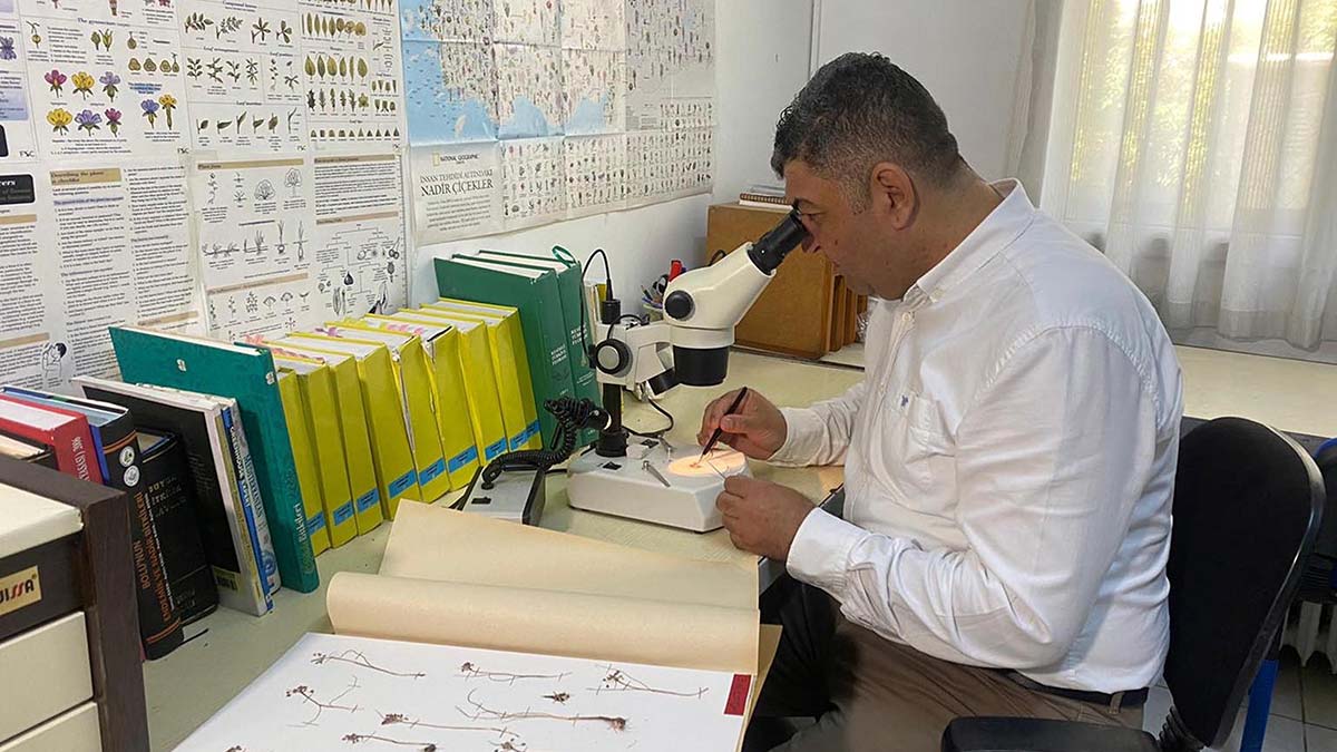 Ege Üniversitesi'nde görevli öğretim üyesi Dr. Ademi Fahri Pirhan'ın keşfettiği endemik bitki türü İzmir Soğanı 'Allium İzmirense Pirhan', bilim dünyasına tanıtıldı.