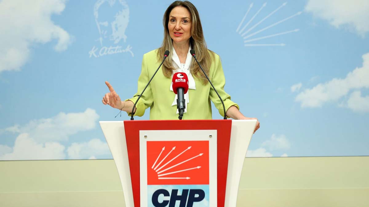 Çoğulcu ve katılımcı demokrasiyi tesis edeceğiz