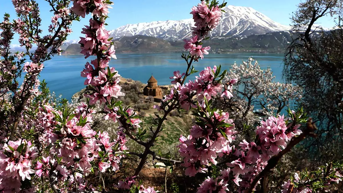 Van gölü'nün turkuaz rengi ile artos dağı'nın karla kaplı görüntüsü de oluşan manzaraya eklenince, akdamar adası fotoğrafçıların ilgi odağı oldu.