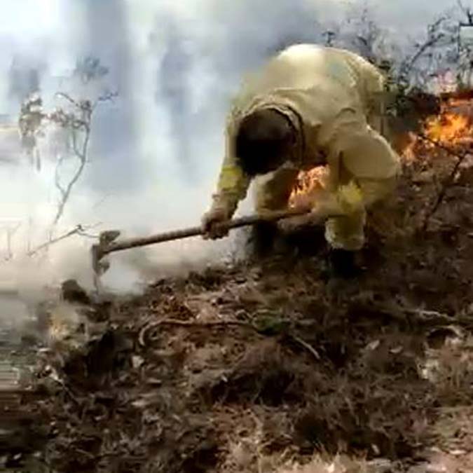 Çorum'da orman yangını