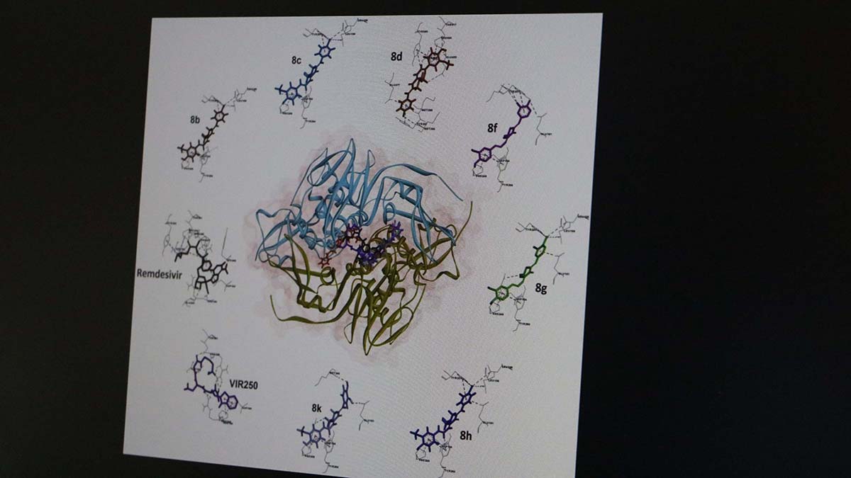 Zerdeçal türevleri korona ilaç yapımında kullanılabilir