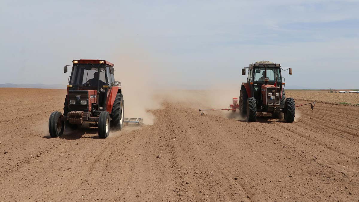 En büyük tahıl ambarında kuraklık endişesi