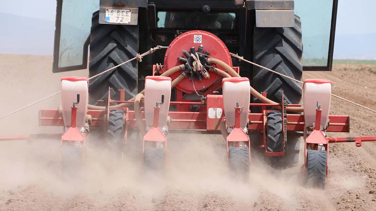 En büyük tahıl ambarında kuraklık endişesi