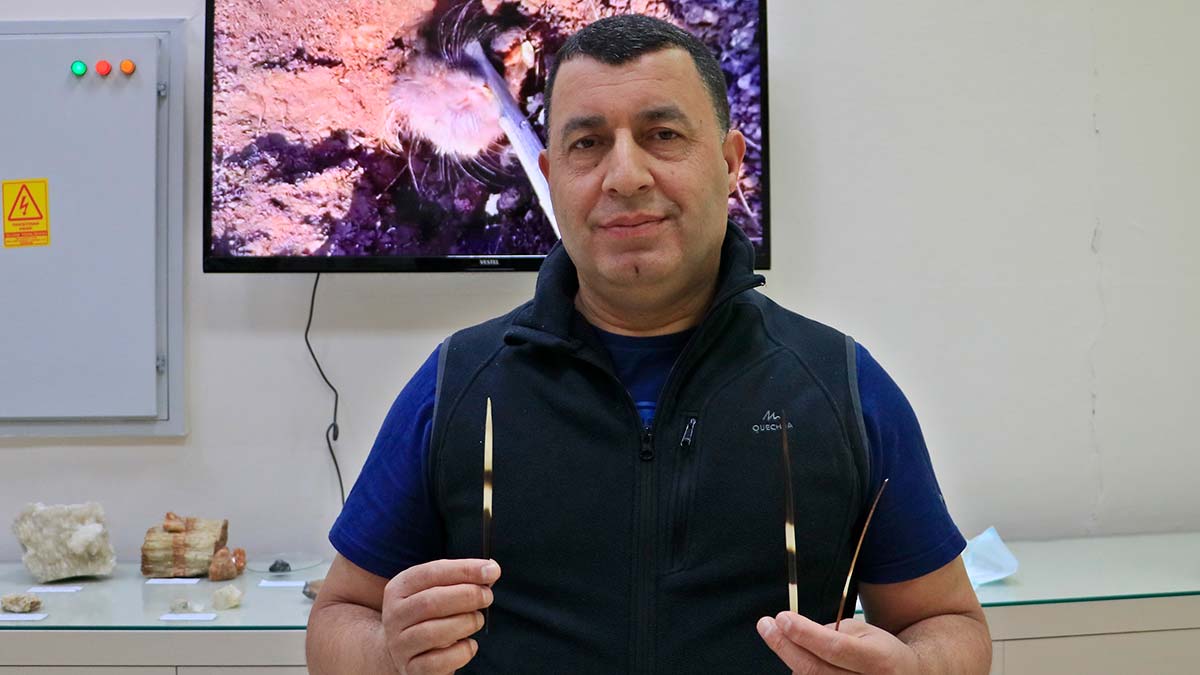 Nesli tehlikedeki oklu kirpi için uyarı