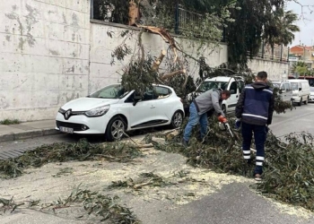 İzmir'de rüzgar ve fırtına hayatı olumsuz etkiliyo