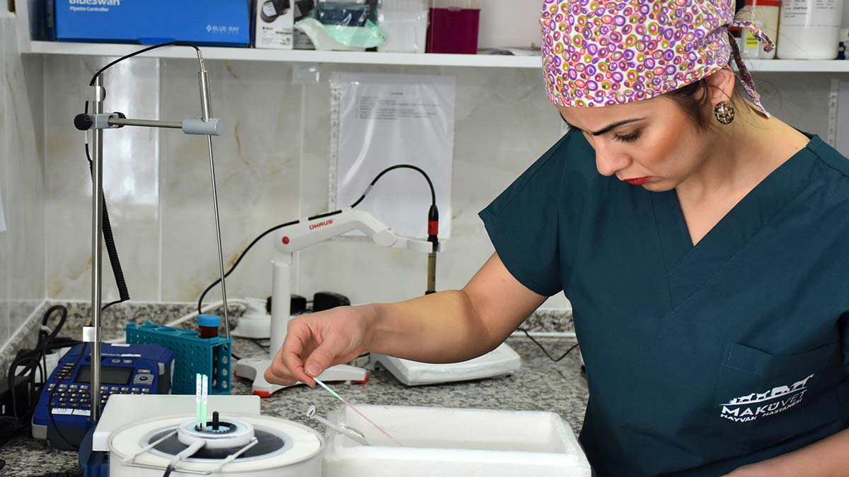 MAKÜ embriyo üretim izni alan ilk üniversitesi oldu