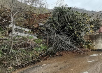 Ordu'da heyelanlar sonrası yeni yerleşim alanları