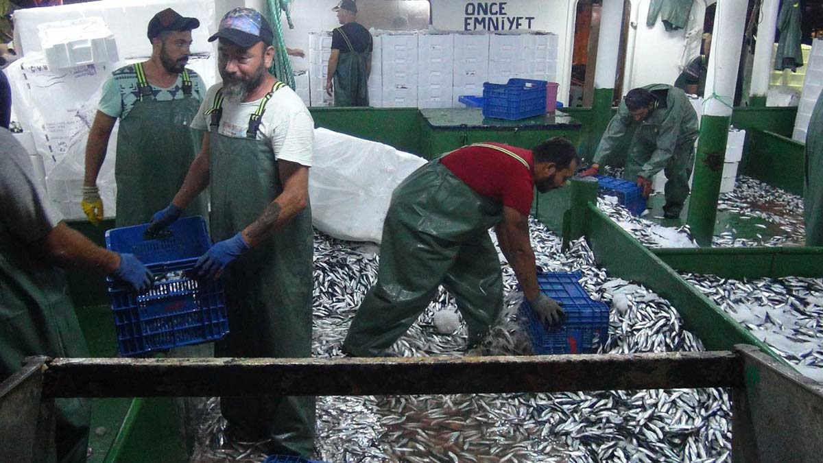 Bandırma Onyedi Eylül Üniversitesi Denizcilik Fakültesi Dekanı Prof. Dr. Mustafa Sarı, iklim değişikliği, denizlerdeki kirlenme, stokların azalması, aşırı ve kaçak avcılık nedeniyle balıkçılık sektörünün ciddi sıkıntılar yaşadığını söyledi.