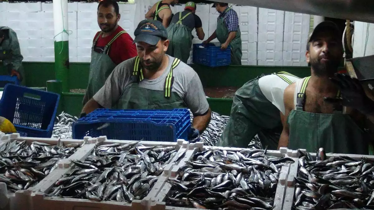 Kaçak avcılık nedeniyle balıkçılık sektörü sıkıntı yaşıyor